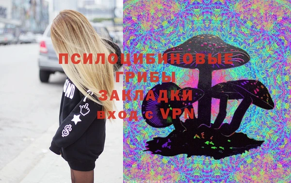 apvp Корсаков