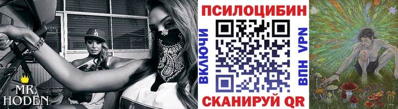закладка  Адыгейск  это как зайти  Галлюциногенные грибы GOLDEN TEACHER 